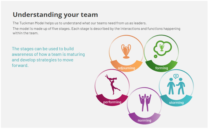 Understanding your team - Tuckman team model