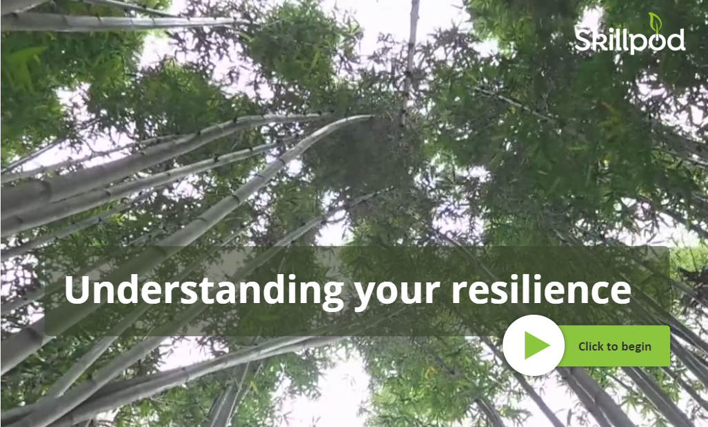 understanding your resilience